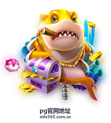 pg官网地址识别方法指南